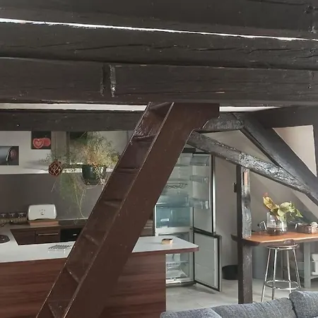 Chez Titi Apartment Mulhouse Exterior photo